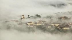 迷雾下的城市，小镇，丛林，桥等唯美高清桌面壁纸图片