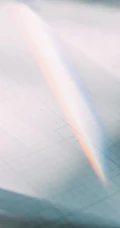 护眼且风格非常小清新的静物手机壁纸