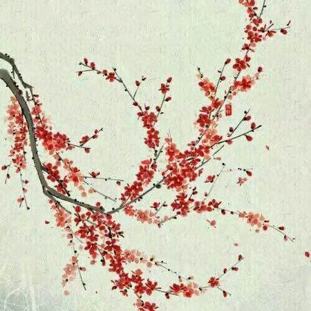 手绘古风般唯美的梅花，桂花，红豆等好看美图