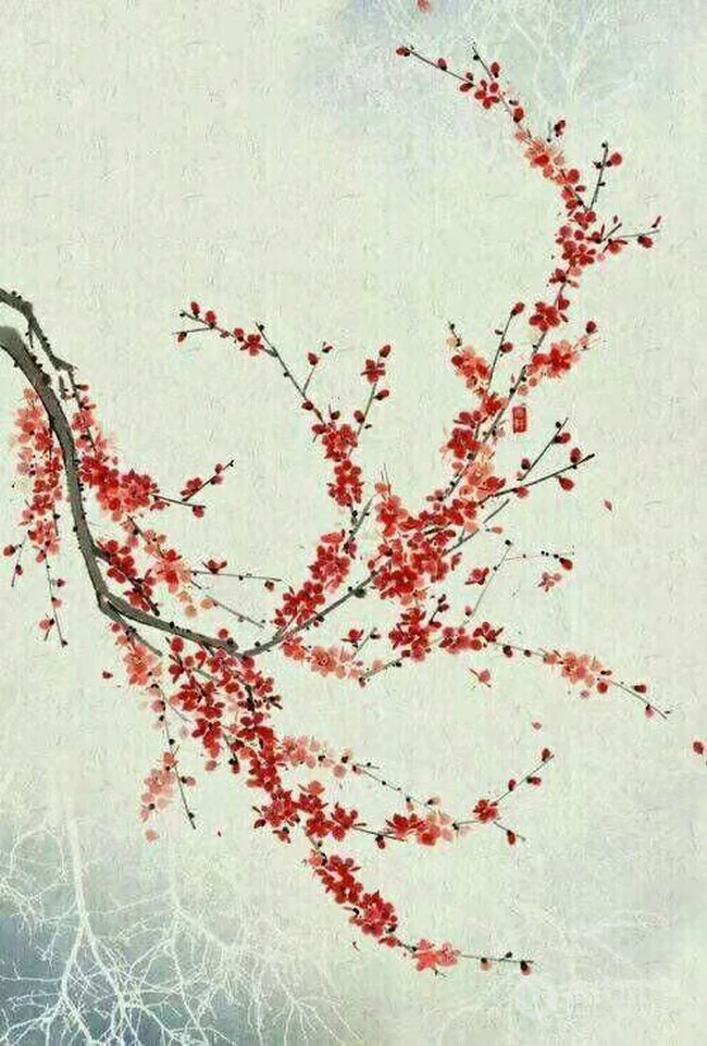 手绘古风般唯美的梅花，桂花，红豆等好看美图