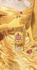 迪士尼COSPLAY女生怀里的各种酒的手机壁纸