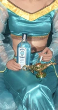 迪士尼COSPLAY女生怀里的各种酒的手机壁纸