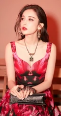 古力娜扎现身活动图片，红黑相间大花色连衣长裙优雅动人