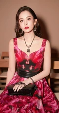 古力娜扎现身活动图片，红黑相间大花色连衣长裙优雅动人