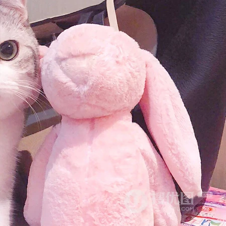 大眼萌猫一人一半的情侣头像