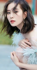 刘诗诗气质绒毛装连衣短裙出席活动写真图片