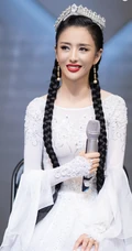 佟丽娅好看的新疆风情打扮现身舞台照图片