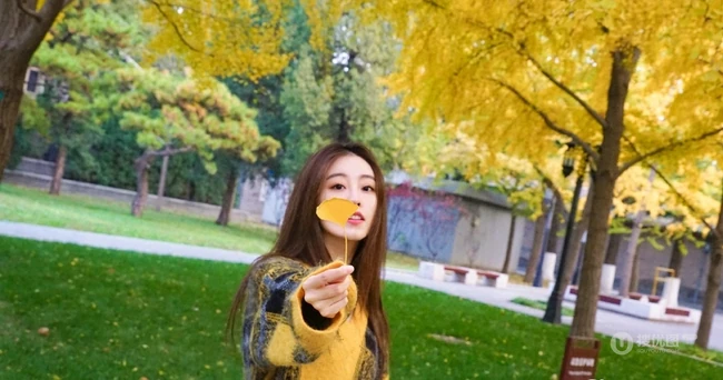 祝绪丹休闲毛衣装扮现身林荫街头美拍图片