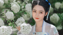 撑着油纸伞赏菊的汉服古风小姐姐高清壁纸