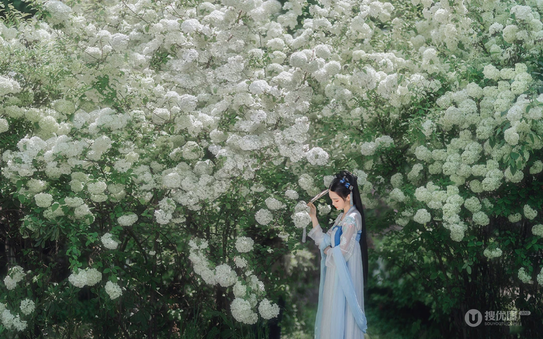 撑着油纸伞赏菊的汉服古风小姐姐高清壁纸