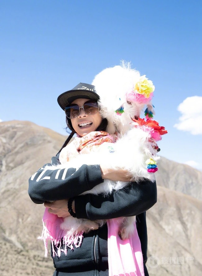 莫文蔚世界巡回演唱会拉萨站，景点打卡个人照片！