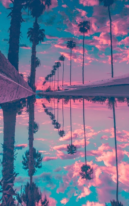 黄昏，湖边的树，水中的倒影，唯美景色手机壁纸