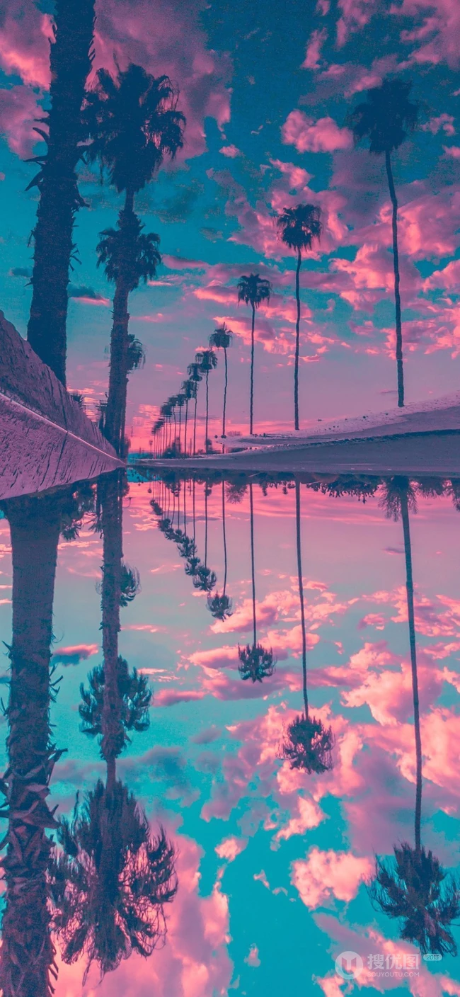 黄昏，湖边的树，水中的倒影，唯美景色手机壁纸