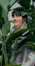 赵又廷工作室晒唯美写真，白色西装着身被绿植包围