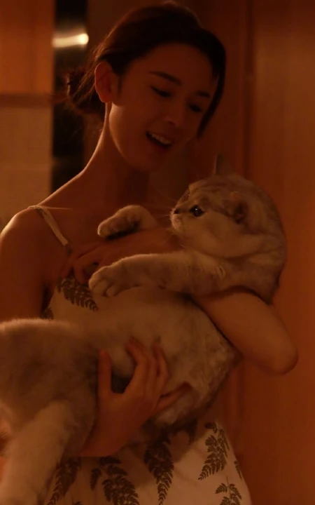 陈瑶带猫出行入住酒店图片，日常逗猫爱心满满