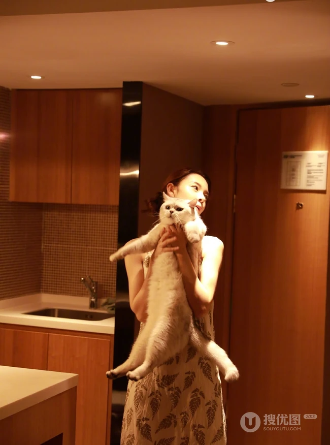 陈瑶带猫出行入住酒店图片，日常逗猫爱心满满