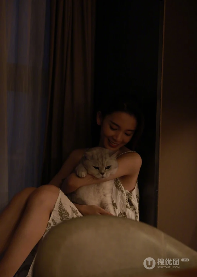 陈瑶带猫出行入住酒店图片，日常逗猫爱心满满