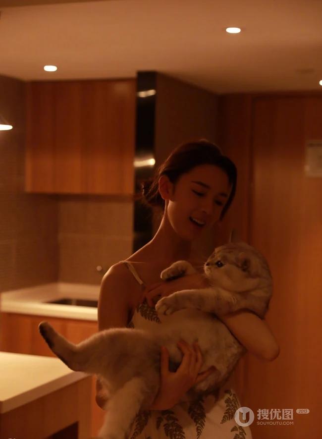 陈瑶带猫出行入住酒店图片，日常逗猫爱心满满