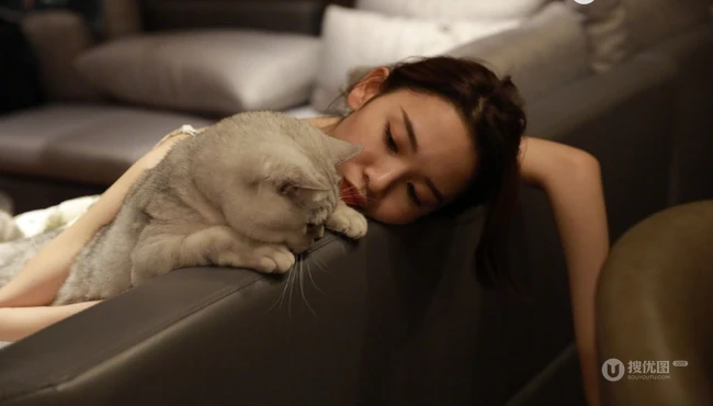 陈瑶带猫出行入住酒店图片，日常逗猫爱心满满