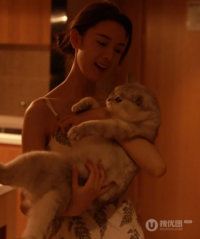陈瑶带猫出行入住酒店图片，日常逗猫爱心满满