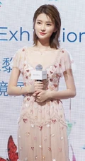 乔欣气质动人桃心亮片V领连衣裙参加活动写真图片