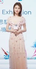 乔欣气质动人桃心亮片V领连衣裙参加活动写真图片