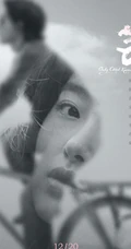 冯小刚电影《只有芸知道》海报剧照 黄轩杨采钰复古风亮相