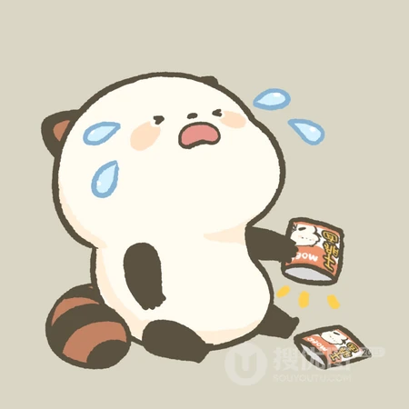 胖乎乎的可爱卡通浣熊头像图片