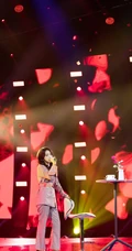 女生歌手黄英气质《玫瑰万岁》写真，舞台照图片