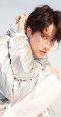 帅气男星Mike灰色夹克耍酷poss手机桌面