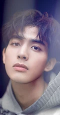 型男宋威龙秋季卫衣大头像近照写真壁纸图片