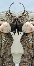 纯情女星周冬雨全新朋克小辫子造型手机壁纸 好抢眼