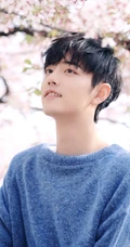 梅花园里梅花树下的帅哥明星肖战秋季写真手机壁纸
