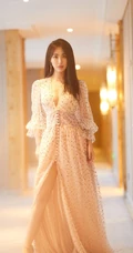 李菲儿超气质V领长裙礼服大秀完美匀称身材写真图片