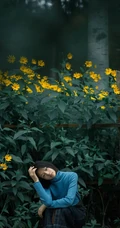 任敏短发造型拍摄唯美森系写真，徜徉菊芋间清新清新