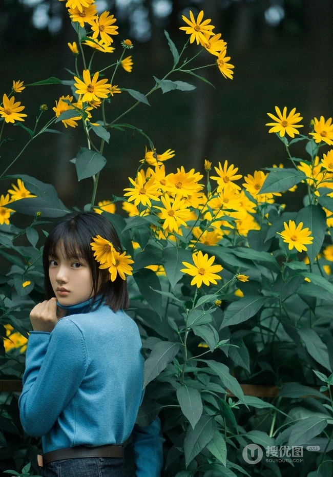 任敏短发造型拍摄唯美森系写真，徜徉菊芋间清新清新