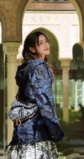 女明星angelababy时尚街拍广告宣传写真大片