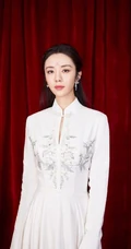 王晓晨优雅动人古典粉色连衣裙 搭配古装发型唯美写真图片
