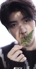 蔡徐坤化身丛林小王子，黑色针织毛衣现身户外丛林