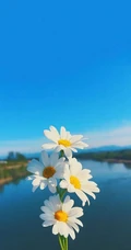 12月问候壁纸，12月热门创意文字手机壁纸下载