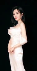 王晓晨气质粉色礼裙蓬蓬裙礼服优雅动人写真图片