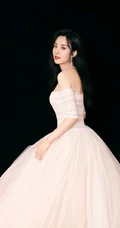 王晓晨气质粉色礼裙蓬蓬裙礼服优雅动人写真图片