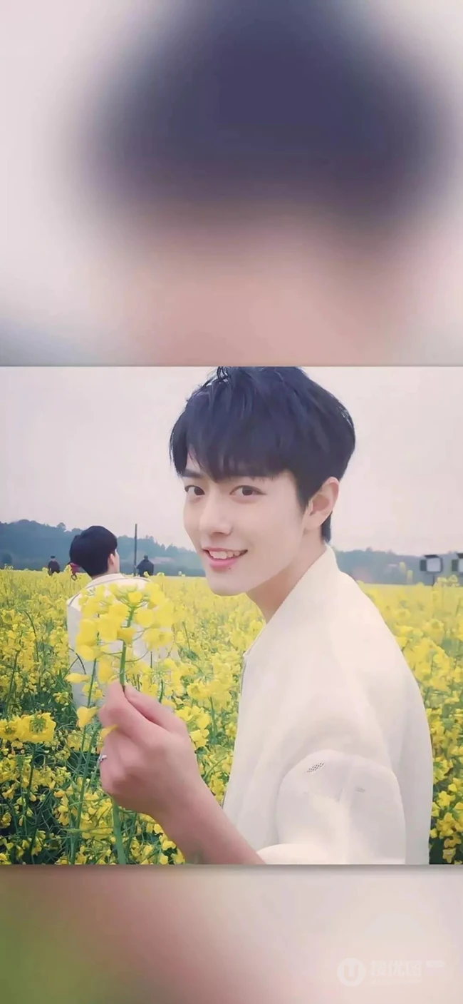 抖音当红明星小鲜肉王一博，肖战，薛之谦等高清手机壁纸