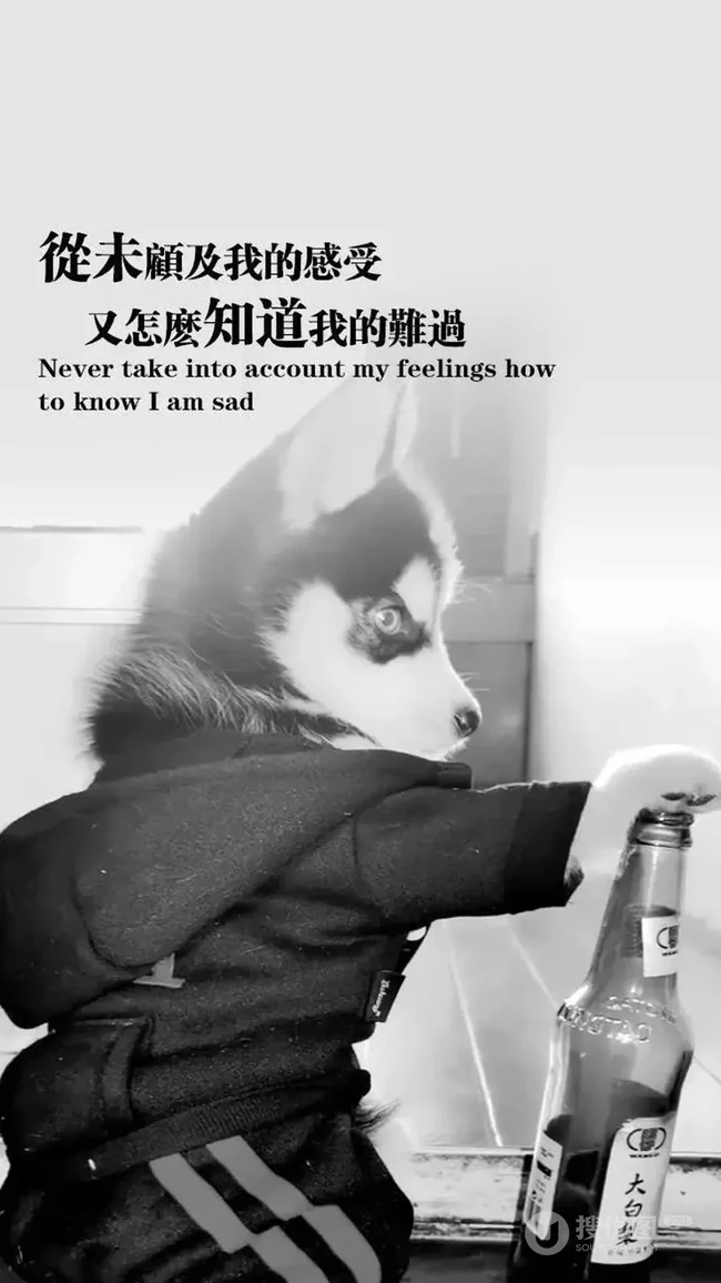 菱形拼贴的小丑创意文字手机壁纸