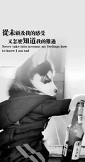 菱形拼贴的小丑创意文字手机壁纸