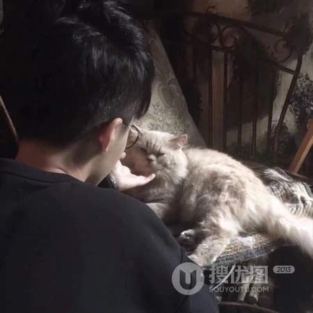我要做渣男，最新渣男QQ头像推荐