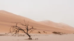 廖无人烟的沙漠小山丘壁纸图片