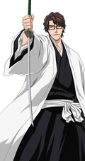 死神人物蓝染惣右介个人图片