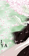 《死神》护庭十三队之六番队队长&ldquo;朽木白哉&rdquo;图片
