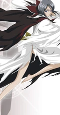 动漫《死神》主要角色人物插画图片